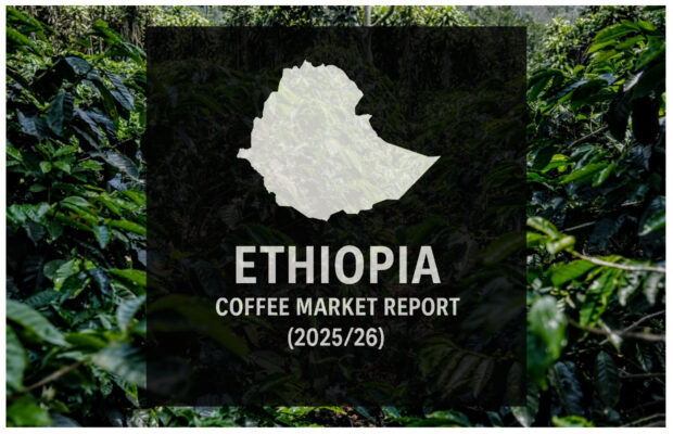 Ethiopia coffee report
