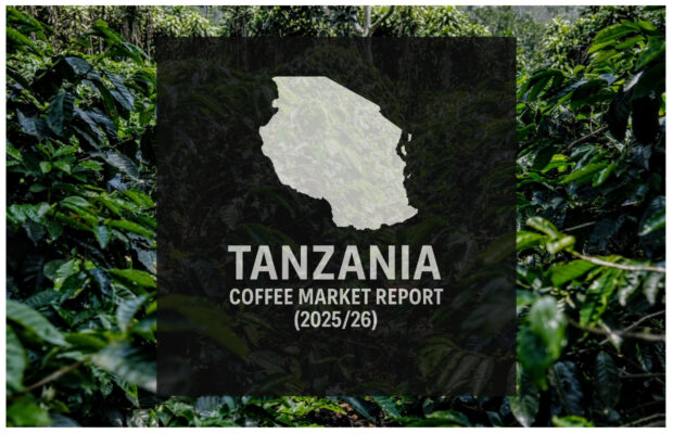 Tanzania final