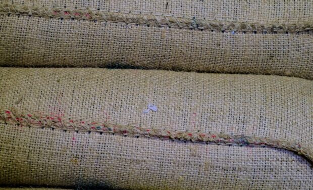 green coffee sacks