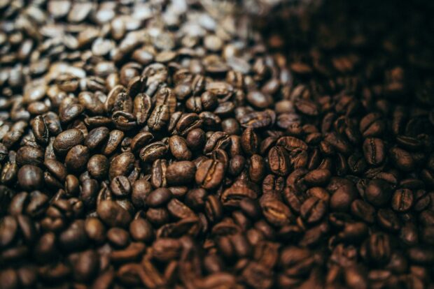roasted coffee aroma study