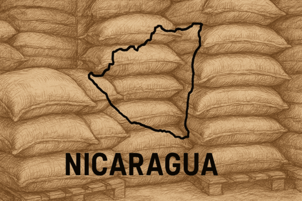 Nicaragua coffee